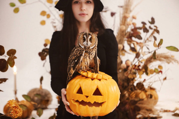 Mulher morena bonita vestindo fantasia preta assustadora de bruxa em estúdio com decorações de Halloween - Foto, Imagem