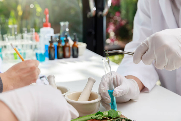 The scientist or doctor make herbal medicine from herb in the laboratory on the table. Herb medicine with herbal the organic natural in the laboratory. - Photo, Image
