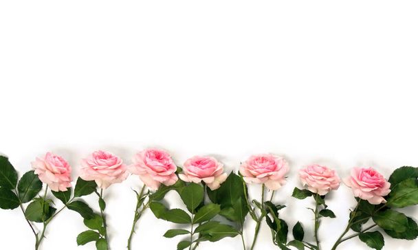Bloemen roze rozen met bladeren op een witte achtergrond met ruimte voor tekst. Bovenaanzicht, vlak lay. - Foto, afbeelding