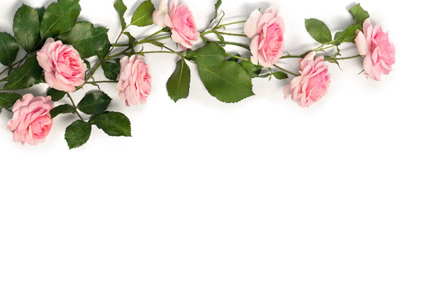 Fleurs roses roses avec des feuilles sur un fond blanc avec espace pour le texte. Vue de dessus, plan plat - Photo, image