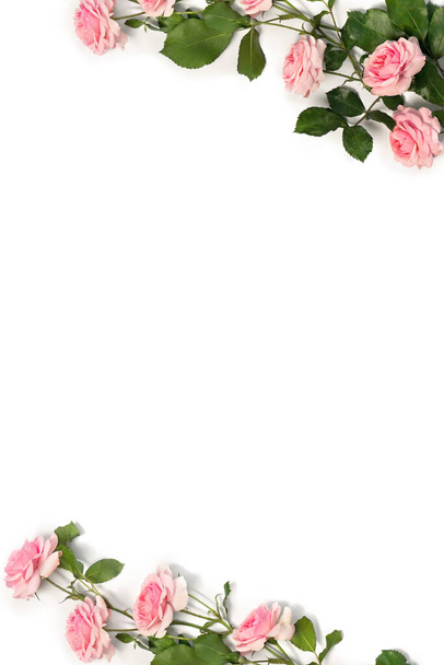 Blumenrahmen rosa Rosen mit Blättern auf weißem Hintergrund mit Platz für Text. Draufsicht, flache Lage - Foto, Bild