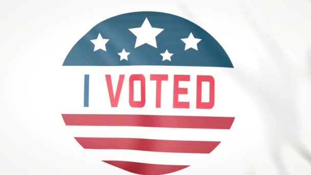 Ψήφισα κυματίζοντας σημαία. Εκλογές στις ΗΠΑ - Πλάνα, βίντεο