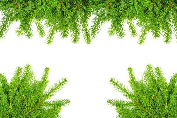 Groene esdoorn blad geïsoleerd op witte achtergrond - Foto, afbeelding