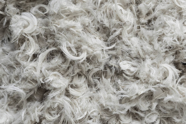 penas de ganso branco e fluff de travesseiros fundo textura - Foto, Imagem