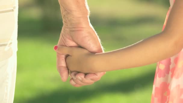 bambino e nonno che si tengono per mano bambina e uomo anziano all'aperto - Filmati, video