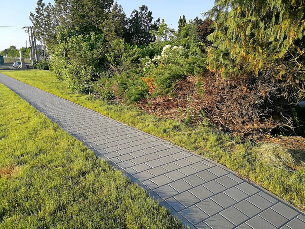 Nova calçada feita de pavimentação de concreto, ao lado de arbustos grossos, imagem - Foto, Imagem