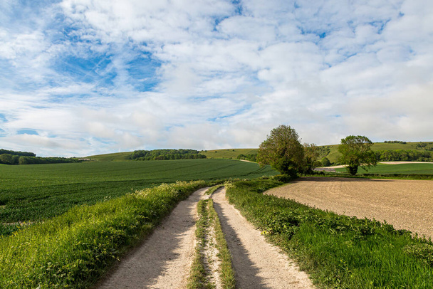 Looking along a dirt road through farmland in the South Downs, on a sunny late spring day - Fotoğraf, Görsel