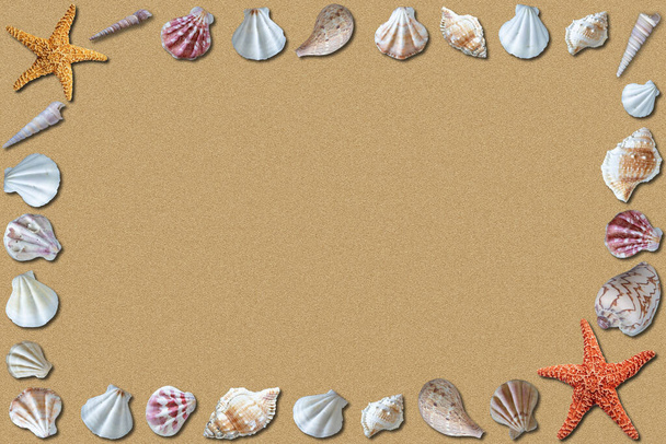 Plage de sable fond d'été avec coquillages environnants et espace de copie. - Photo, image