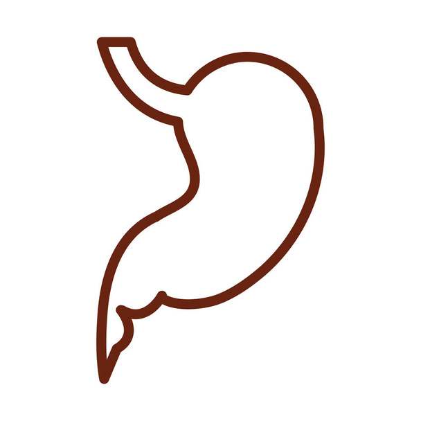 human body stomach anatomy organ health line icon style - Vector, Image