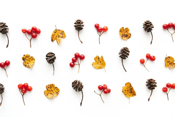 Podzimní barevné listy, červené bobule a kornouty na bílém pozadí. Pohled shora. Ležel. Kopírovat prostor. - Fotografie, Obrázek