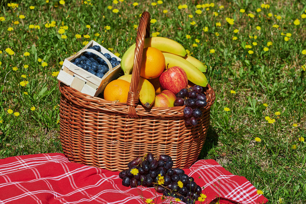 Basket of various fruits in the sunlight on a meadow with yellow flowers. - Zdjęcie, obraz