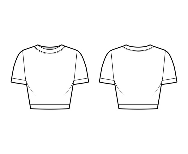 Camiseta de punto de algodón recortado ilustración técnica de moda con cuello redondo, mangas cortas, ajuste cercano. Ropa plana - Vector, Imagen