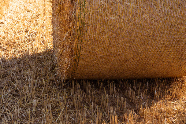 straw bales on an agricultural field background - Photo, Image