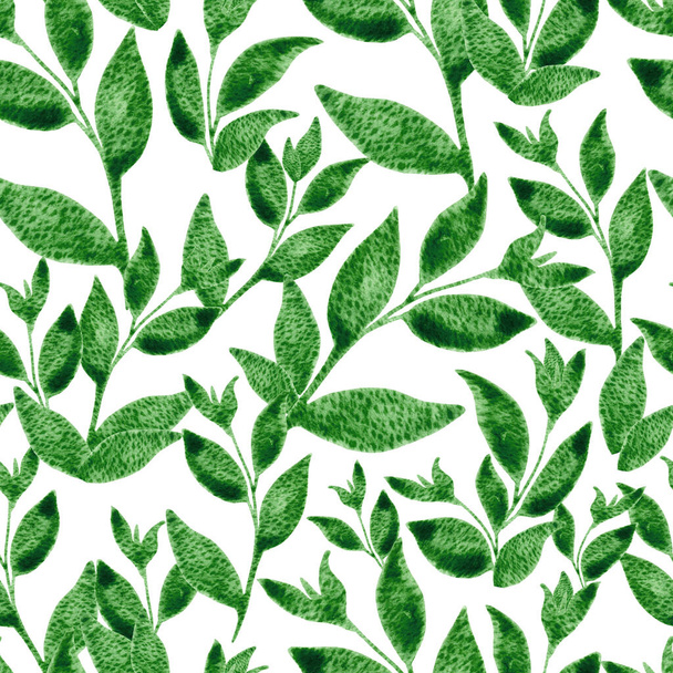 Green tea leaves watercolor seamless pattern. Hand drawn floral illustration on textured background for textile, wallpaper, fabric, postcard, invitation, cover, wrapping paper, print design - Photo, Image