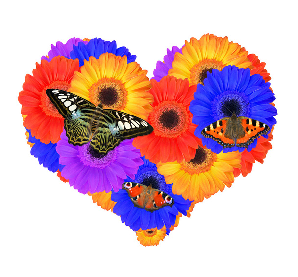 Coeur de fleurs de gerbera
 - Photo, image