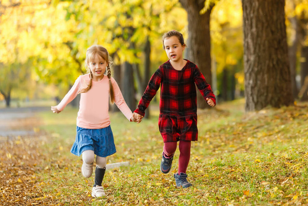 dvě malé holčičky v podzimním parku - Fotografie, Obrázek