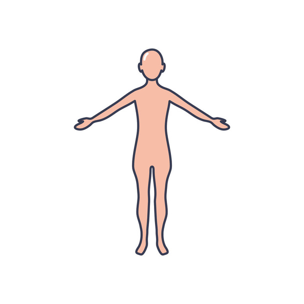 ikona lidského těla, styl výplně řádku - Vektor, obrázek