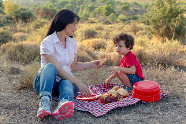 Η μαμά προσφέρει στο γιο της ένα σάντουιτς σε μια πεζοπορία στο θάμνο για ένα πικνίκ σε ένα κόκκινο και άσπρο καρό τραπεζομάντηλο, επαναχρησιμοποιήσιμα πιάτα και μαχαιροπήρουνα και σταφύλια - Φωτογραφία, εικόνα