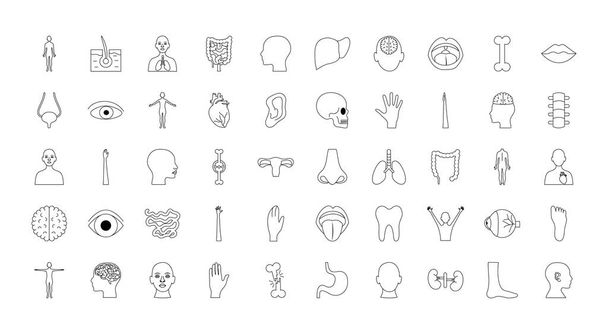 órganos del cuerpo humano y piezas icono conjunto, estilo de línea - Vector, Imagen