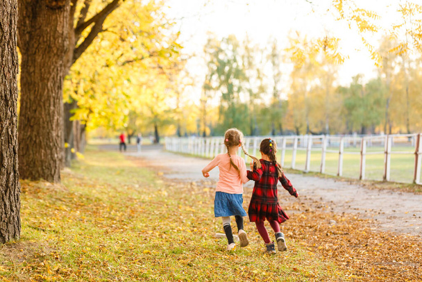 Две маленькие подружки, школьницы в парке. - Фото, изображение