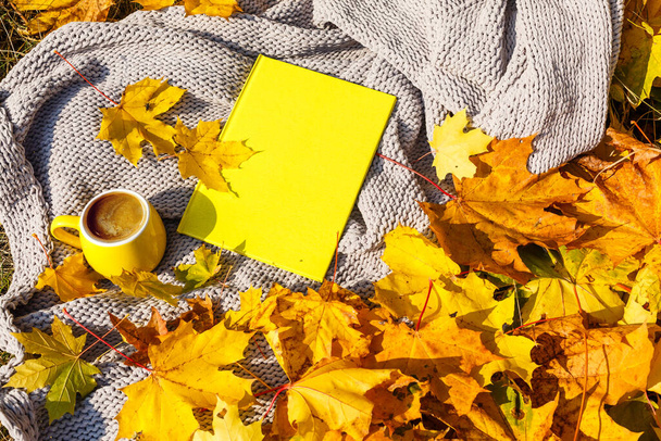yellow book of nature on autumn forest background - Photo, Image