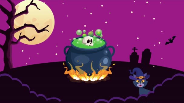 веселая анимационная сцена Хэллоуина с париком и кошкой ночью - Кадры, видео