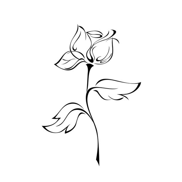 one stylized rose Bud on a stem with leaves in black lines on a white background - Vektori, kuva