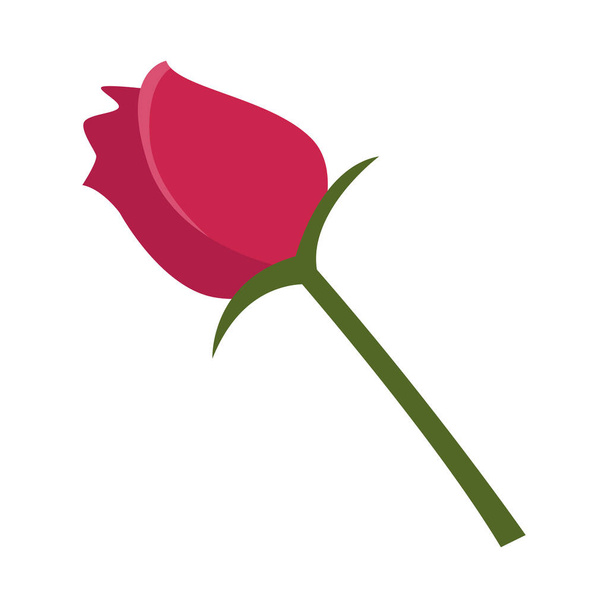 Isoliertes Rosenblütenvektordesign - Vektor, Bild