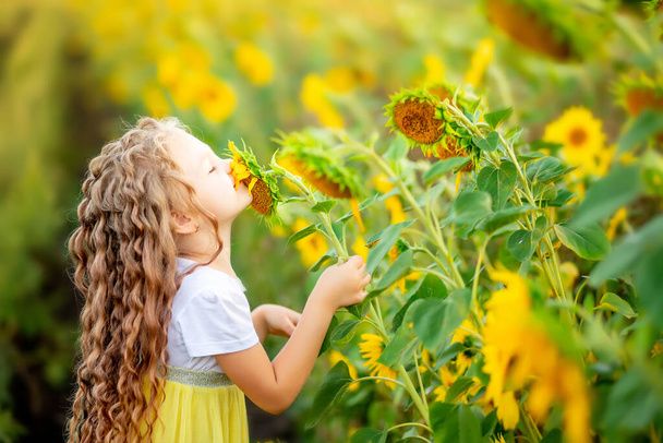 una piccola bella ragazza tiene un girasole in un campo in estate - Foto, immagini