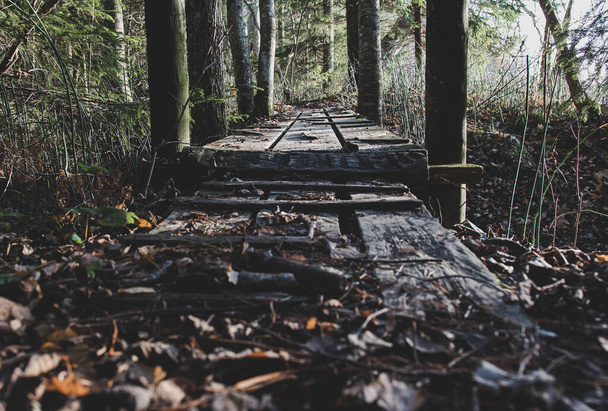 Hiking trail with a wooden bridge during the autumn days when the leaves have fallen - Photo, Image