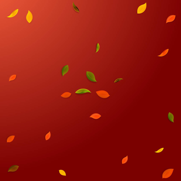 Falling autumn leaves. Red, yellow, green, brown r - Vektor, Bild