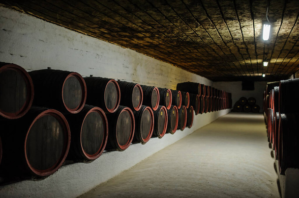 wijn houten vaten in de undeground tunnels van een wijnmakerij - Foto, afbeelding