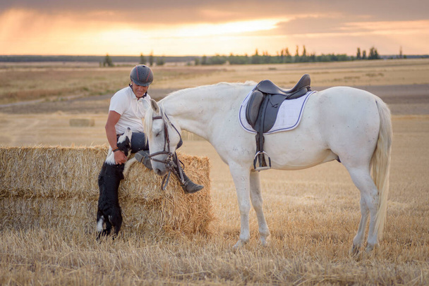 Un homme assis sur un paquet de paille avec son cheval et son chien sellés. Pays scène. - Photo, image