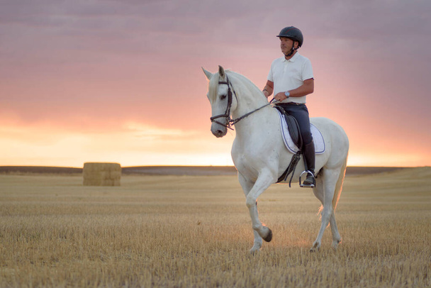 Jezdec na koni projíždějící posekaným obilným polem se svým bílým koněm ve společnosti svého psa. Jízda na koni pod širým nebem. - Fotografie, Obrázek