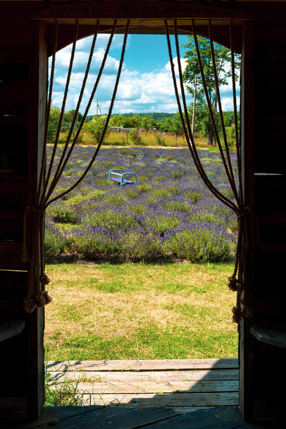 Widok przez okno na wieś z polem lawendowym, pionowe - Zdjęcie, obraz