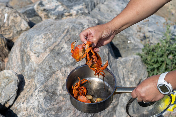 Nově uvaření krabi. Čerstvé úlovky vařené v přírodě přímo u rybářského místa - Fotografie, Obrázek