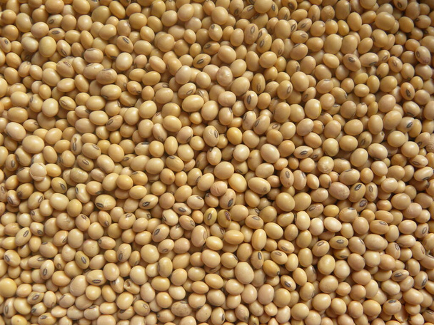 Yellow color raw whole Soybean - Fotografie, Obrázek