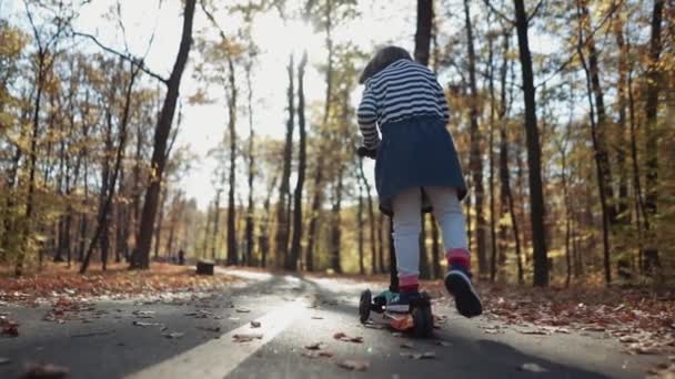 Petite fille en scooter dans le parc d'automne - Séquence, vidéo