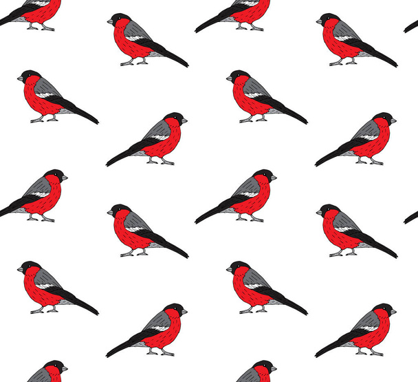 Vector seamless pattern of hand drawn sketch colored bullfinch isolated on white background - Vector, Imagen