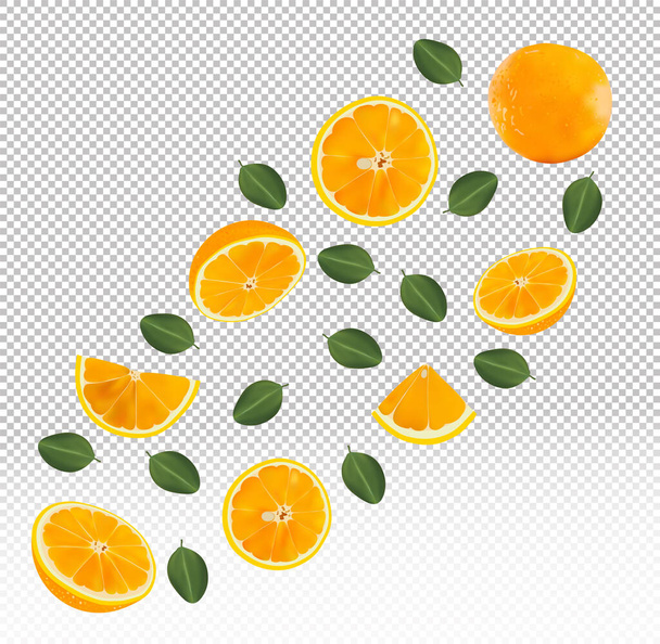 3D realistisches frisches Orange mit grünen Blättern. Falling Orange auf transparentem Hintergrund. Die fliegenden Orangenfrüchte sind ganz und in zwei Hälften geschnitten. Vektorillustration. - Vektor, Bild