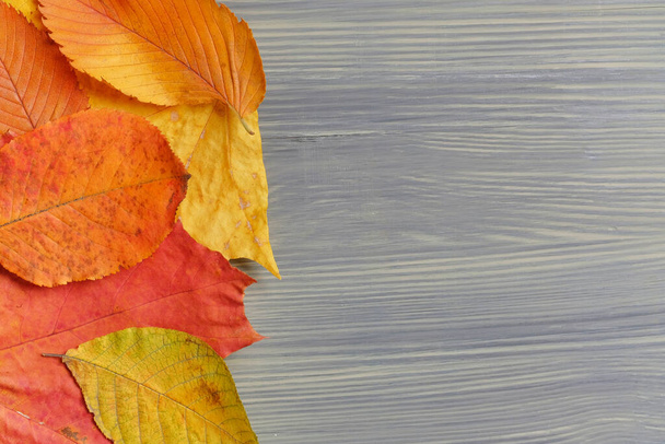 Vista superior concepto de otoño con fondo de madera y espacio de copia. - Foto, Imagen