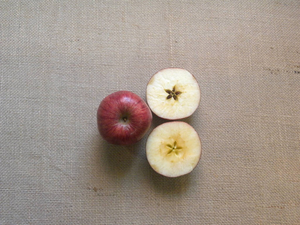 Malus pumila (Paradise Apple, Red Delicious Apple)