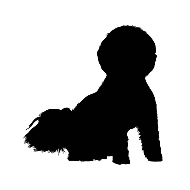 Bichon Frise, Dog Silhouette, Γαλλία, Ευρώπη - Διάνυσμα, εικόνα