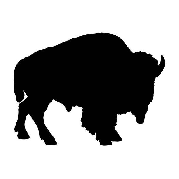 Bisonte americano, bisonte bisonte, silueta, África, Asia y América del Norte - Vector, Imagen