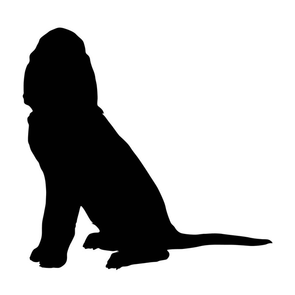 Portrét Sedící pes, Silueta, Na bílém pozadí - Vektor, obrázek