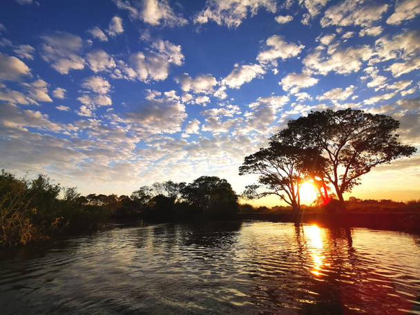 Sonnenuntergang zwischen den Bäumen mit den Pantanal-Feuchtgebieten im Vordergrund und einem schönen bewölkten Himmel - Foto, Bild