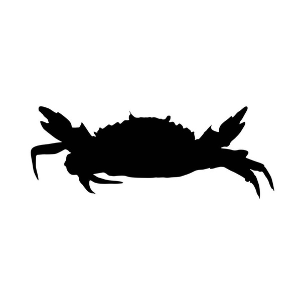Vector de silueta de cangrejo (Brachyura) encontrado en aguas de todo el mundo - Vector, Imagen