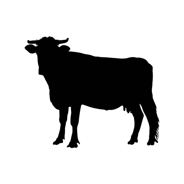 Cow (Bos Taurus) Silhouette Vector Found In Around The World - Vector, Image
