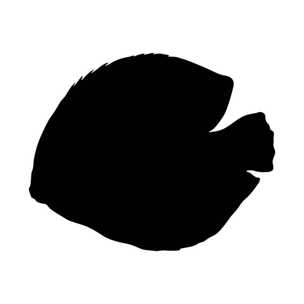 Discus Fish (Symphysodon) Silhouette Vector Found In Map of South America - Вектор,изображение