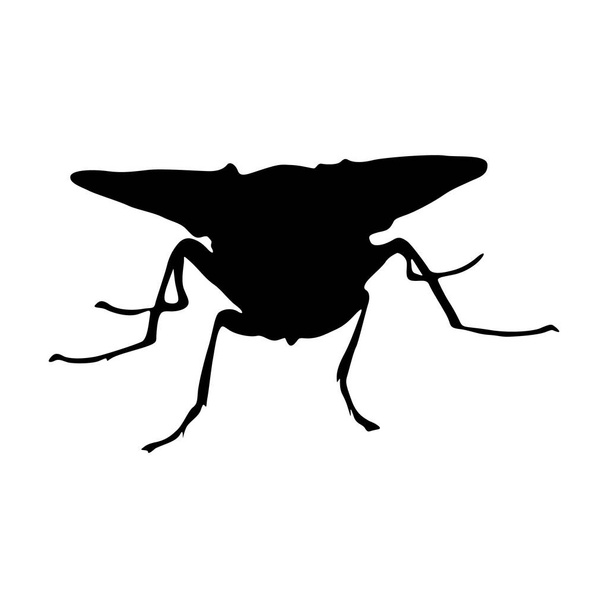 Silueta de mosca (Diptera) encontrada en todo el mundo - Vector, imagen